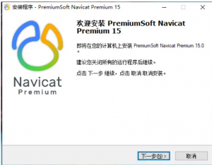 Navicat Premium 15 永久破解激活工具及安装教程(亲测可用)